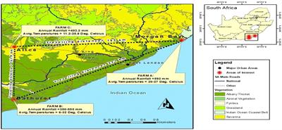 Avoidance-related behavioral and blood-based physiological responses of Nguni and Boran cattle subjected to routine handling activities post relocation